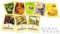 Catan (Колонизаторы), фото 5