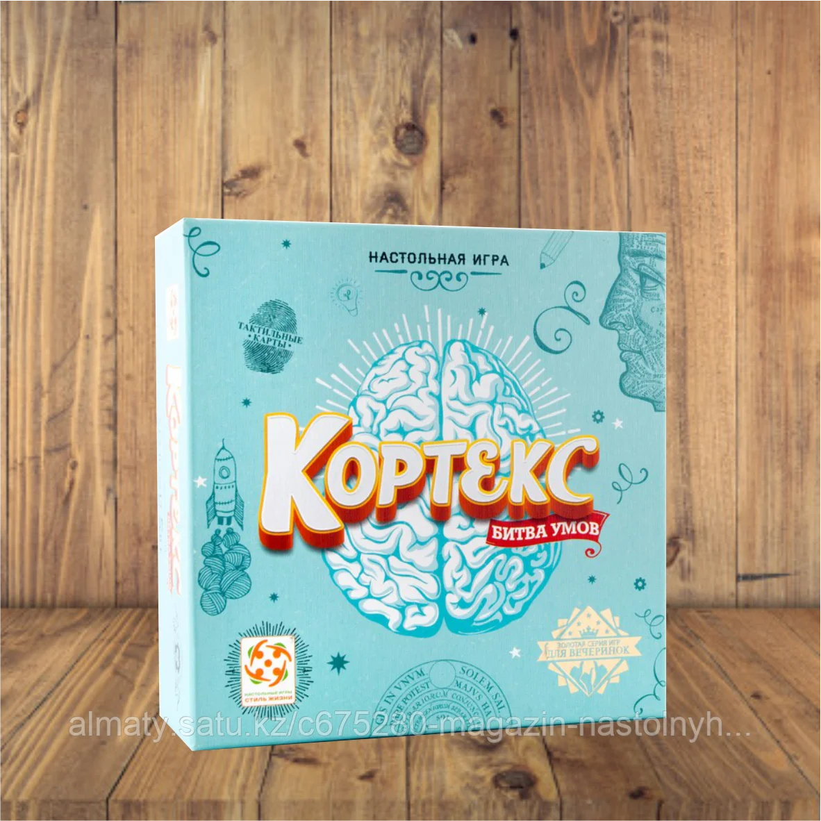 Кортекс