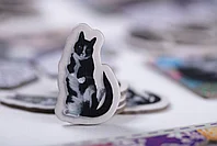 Котики, фото 2