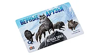 Настольная игра Вечная зима: Верные друзья. Дополнение, фото 3