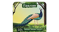 10 Вопросов: Животные, фото 5