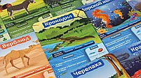 10 Вопросов: Животные, фото 7